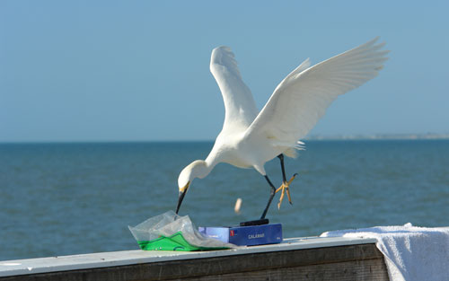 Fort Myers Beach