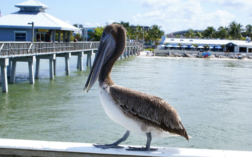 Manatee Bay Inn